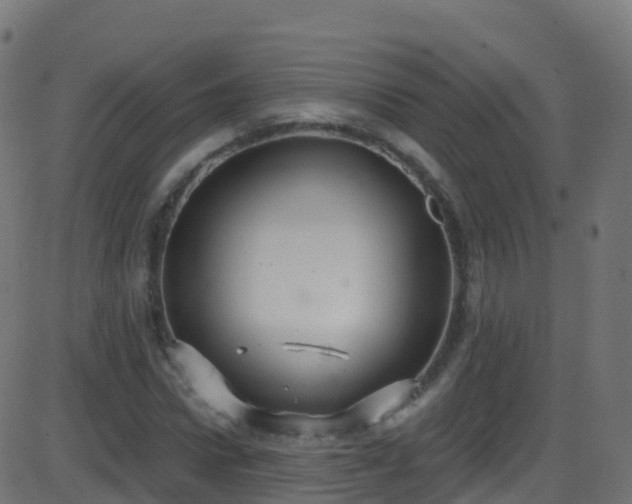 X0000086220922200704051236