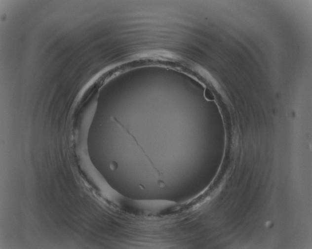 X0000086220923200704051236