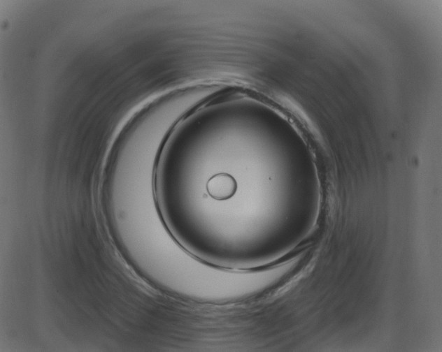 X0000086220924200704051236