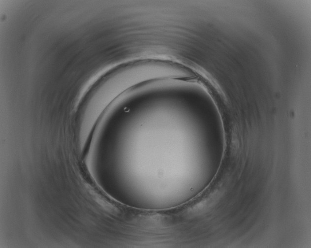 X0000086220926200704051236