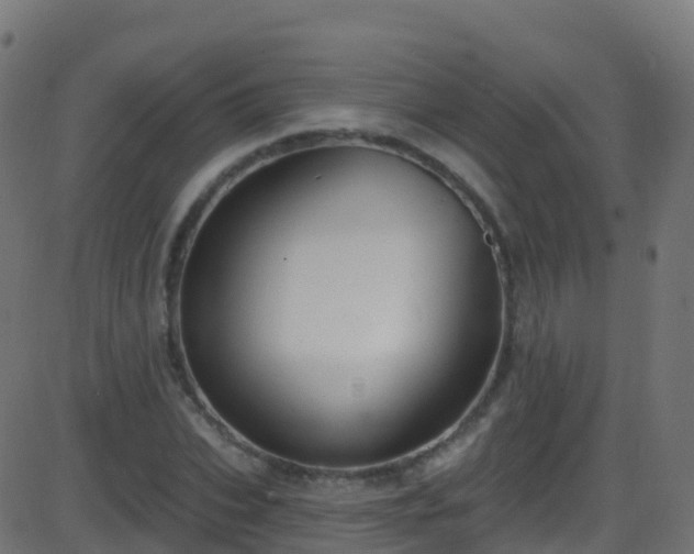 X0000086220927200704051236