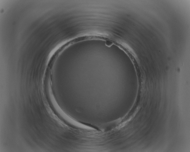 X0000086220928200704051236