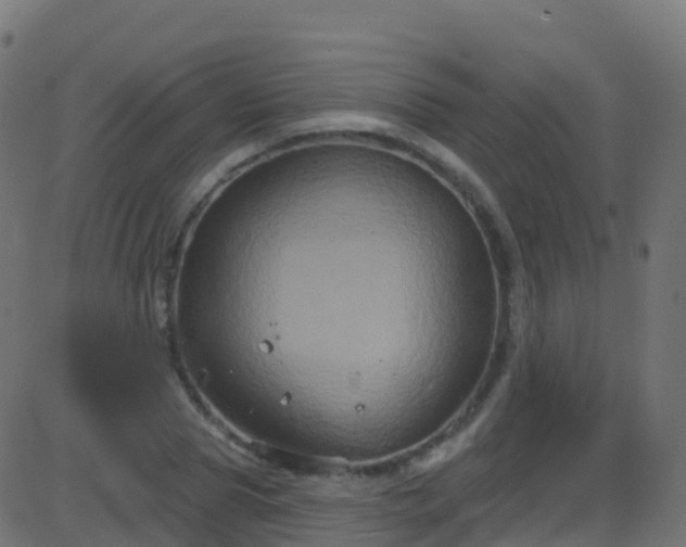 X0000086220929200704051236