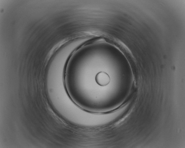 X0000086220930200704051236