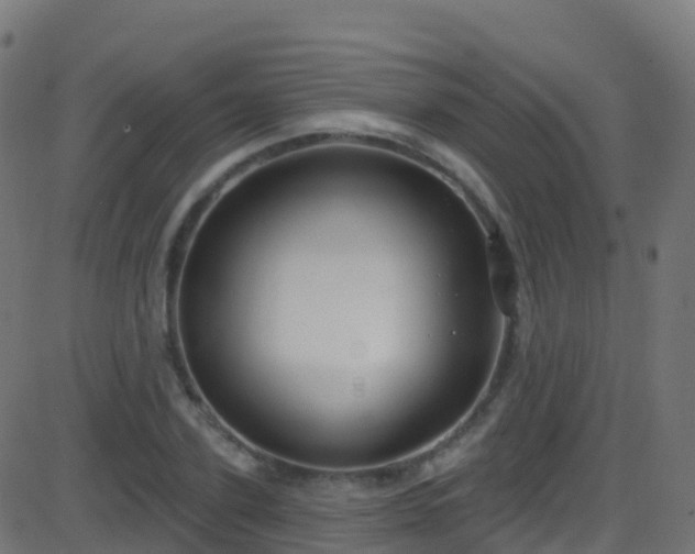 X0000086220931200704051236