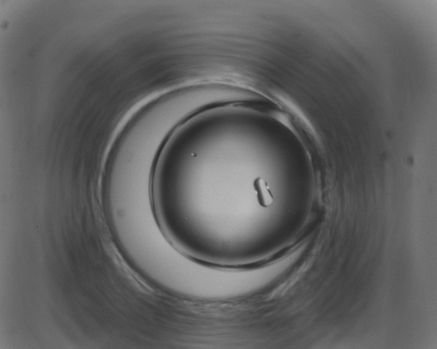 X0000086220932200704051236