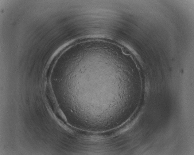 X0000086220933200704051236