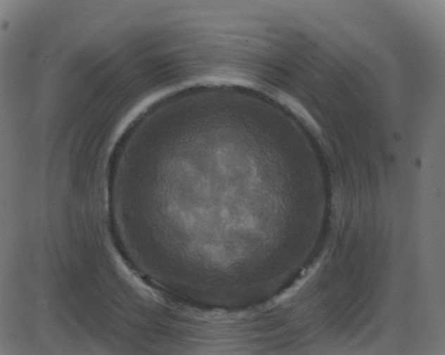 X0000086220934200704051236