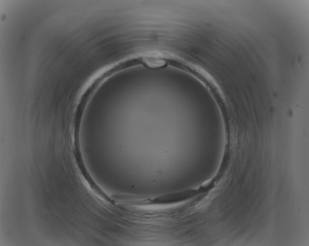 X0000086220935200704051236