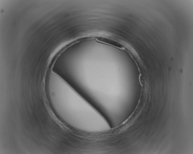 X0000086220936200704051236