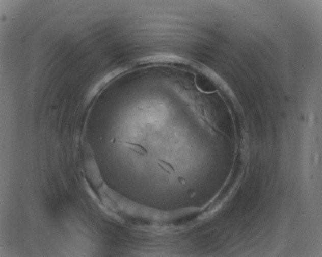 X0000086220937200704051236