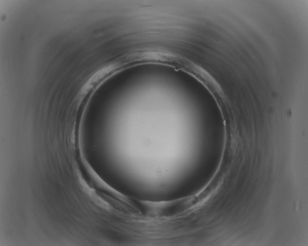 X0000086220938200704051236