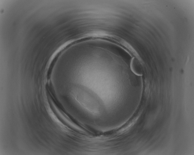 X0000086220939200704051236