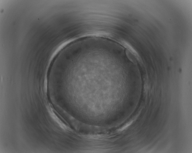 X0000086220940200704051236