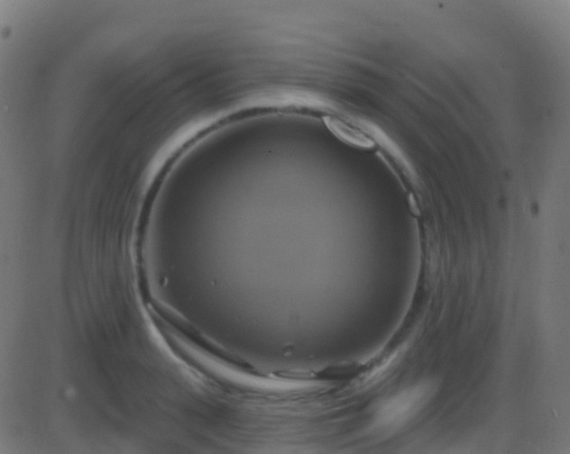 X0000086220943200704051237