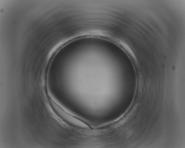 X0000086220944200704051237