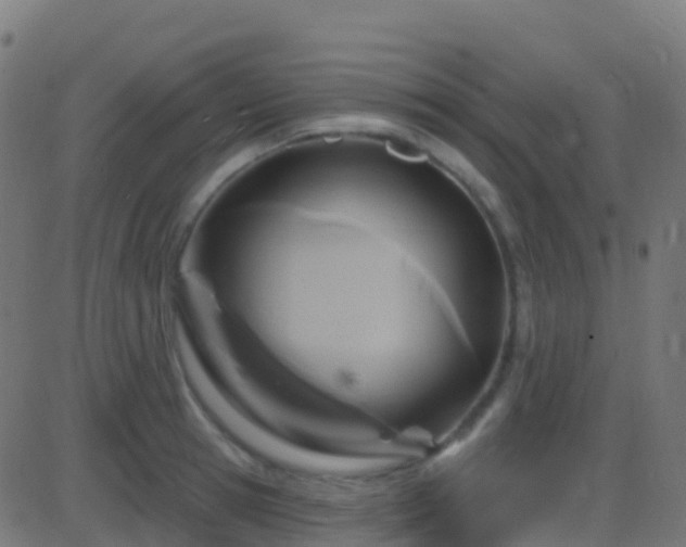 X0000086220945200704051237