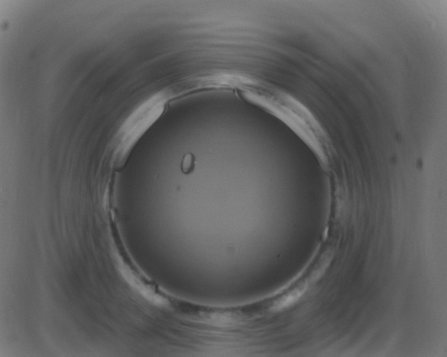 X0000086220946200704051237