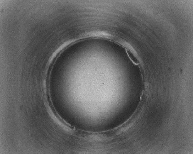 X0000086220947200704051237