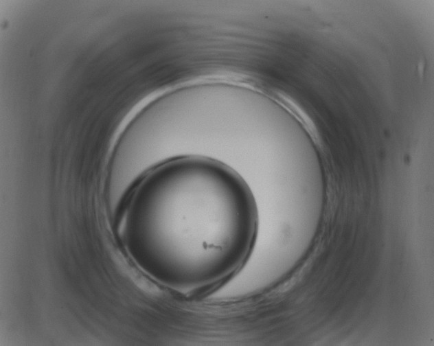 X0000086220948200704051237