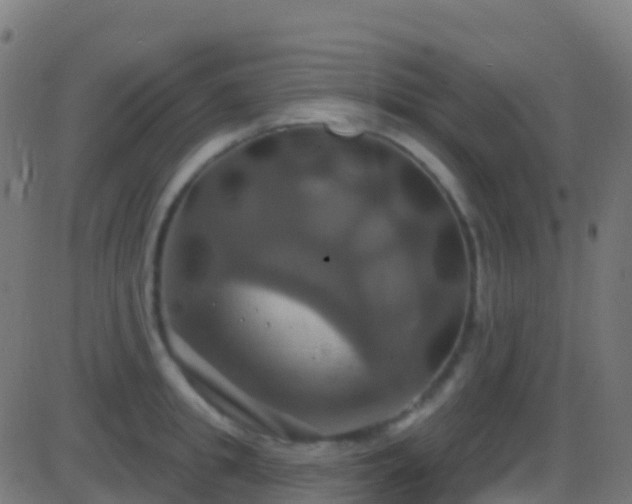 X0000086220949200704051237