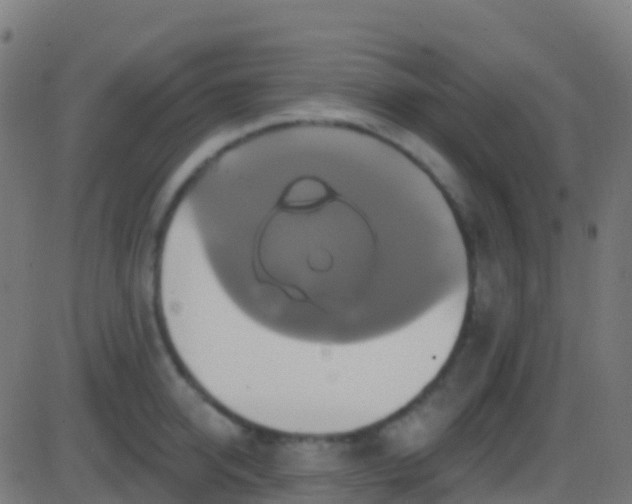 X0000086220950200704051237