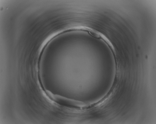 X0000086220951200704051237