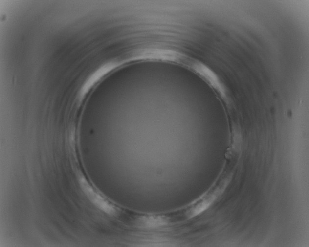 X0000086220952200704051237