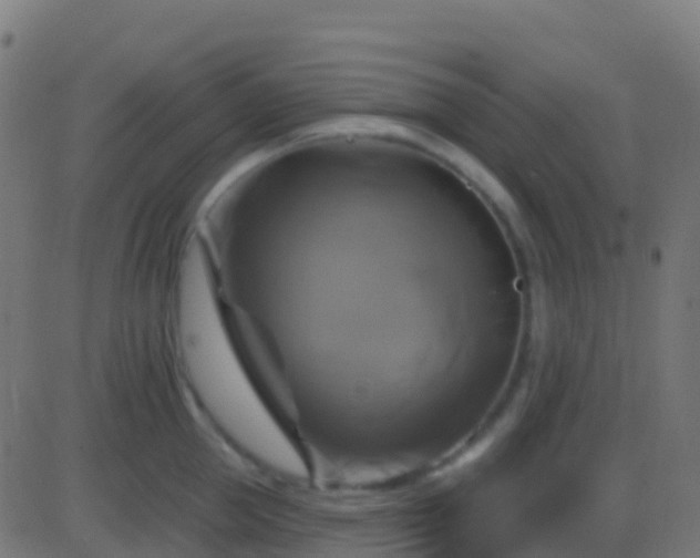 X0000086220953200704051237