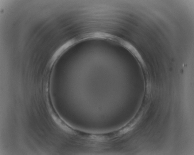 X0000086220954200704051237