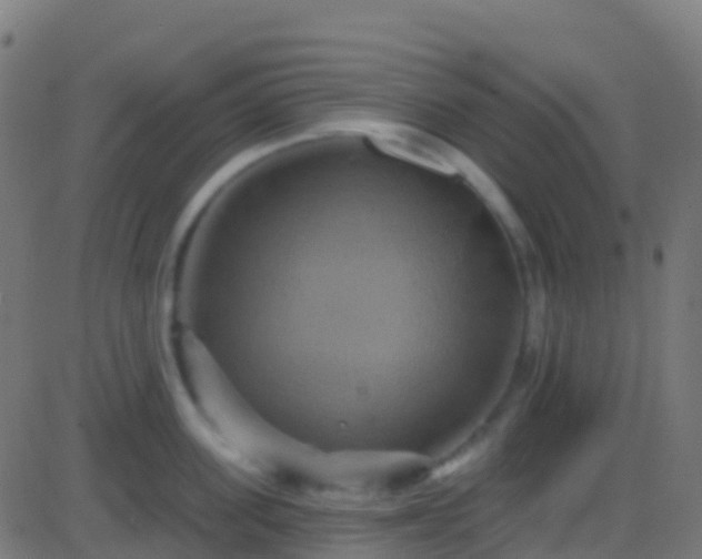 X0000086220955200704051237