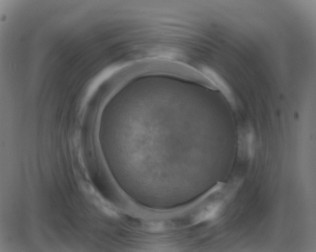 X0000086220956200704051237