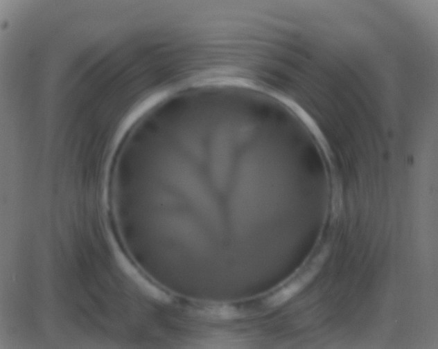 X0000086220957200704051237