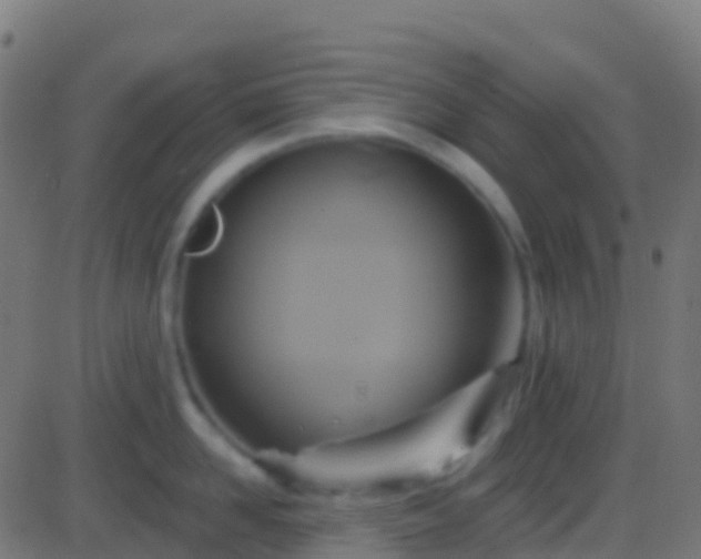 X0000086220958200704051237