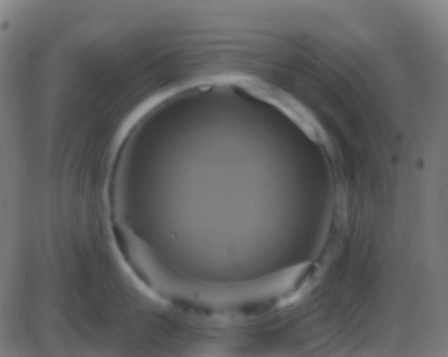 X0000086220959200704051237