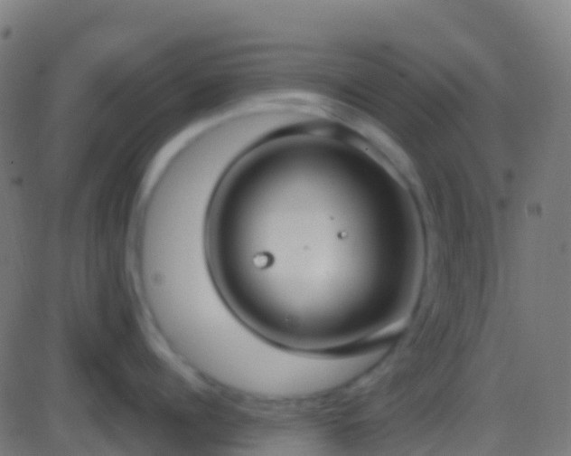 X0000086220960200704051237