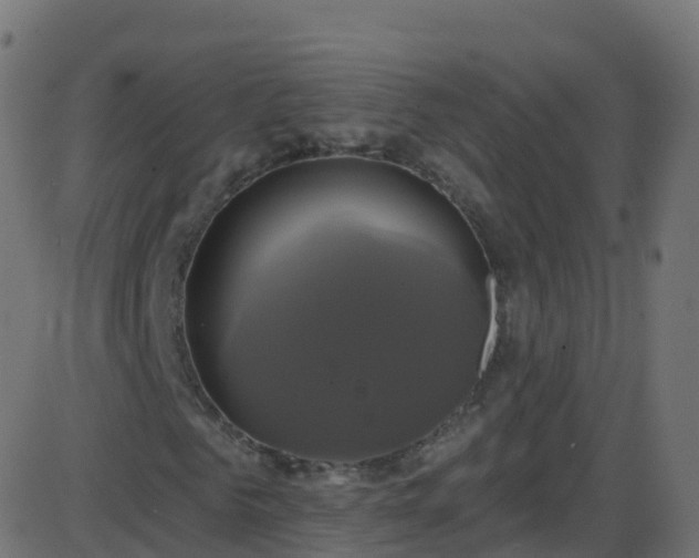 X0000086220961200704051236