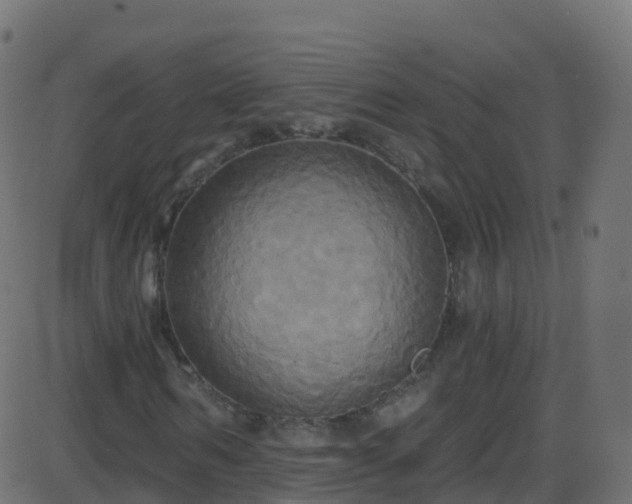 X0000086220962200704051236