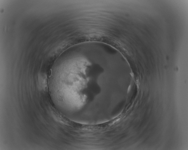 X0000086220963200704051236