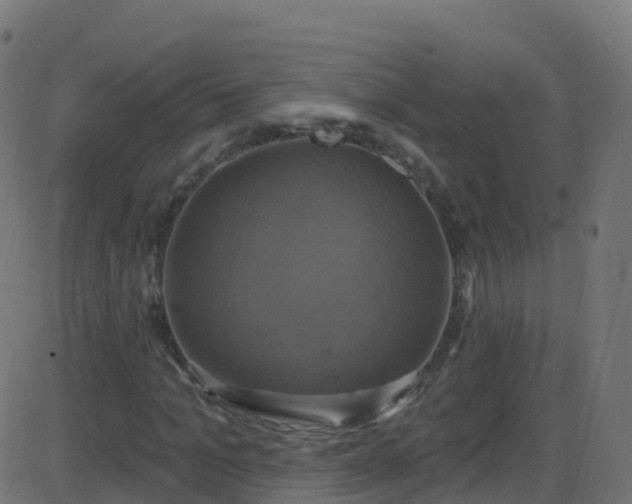 X0000086220965200704051236