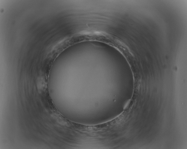 X0000086220966200704051236