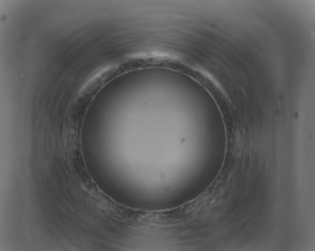 X0000086220967200704051236