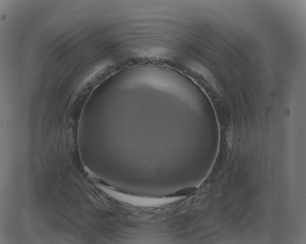 X0000086220968200704051236