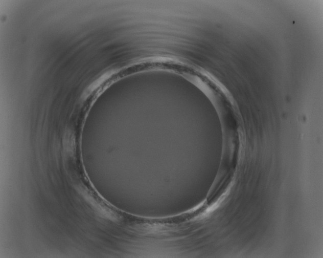 X0000086220969200704051236