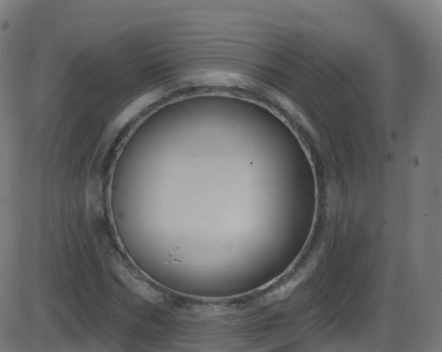 X0000086220970200704051236