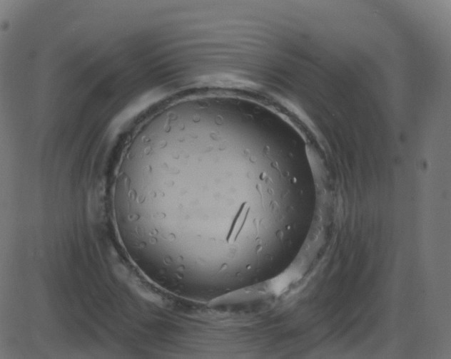 X0000086220971200704051236