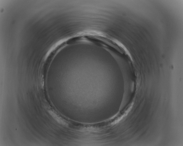 X0000086220973200704051236