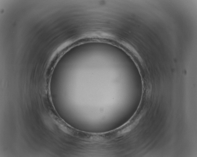 X0000086220974200704051236