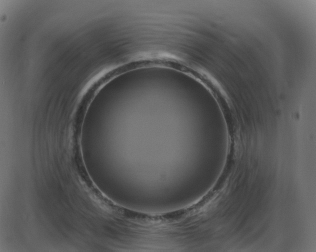 X0000086220975200704051236