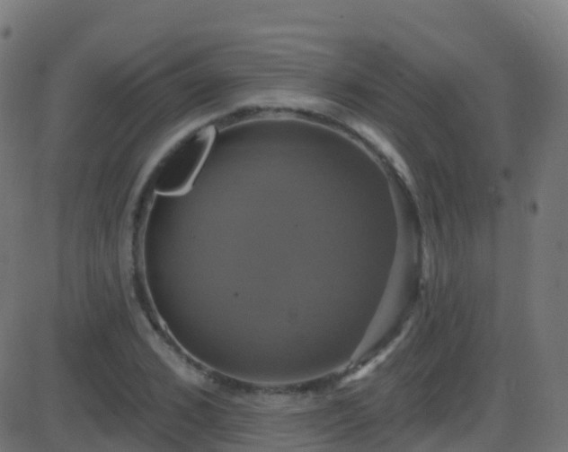 X0000086220976200704051236